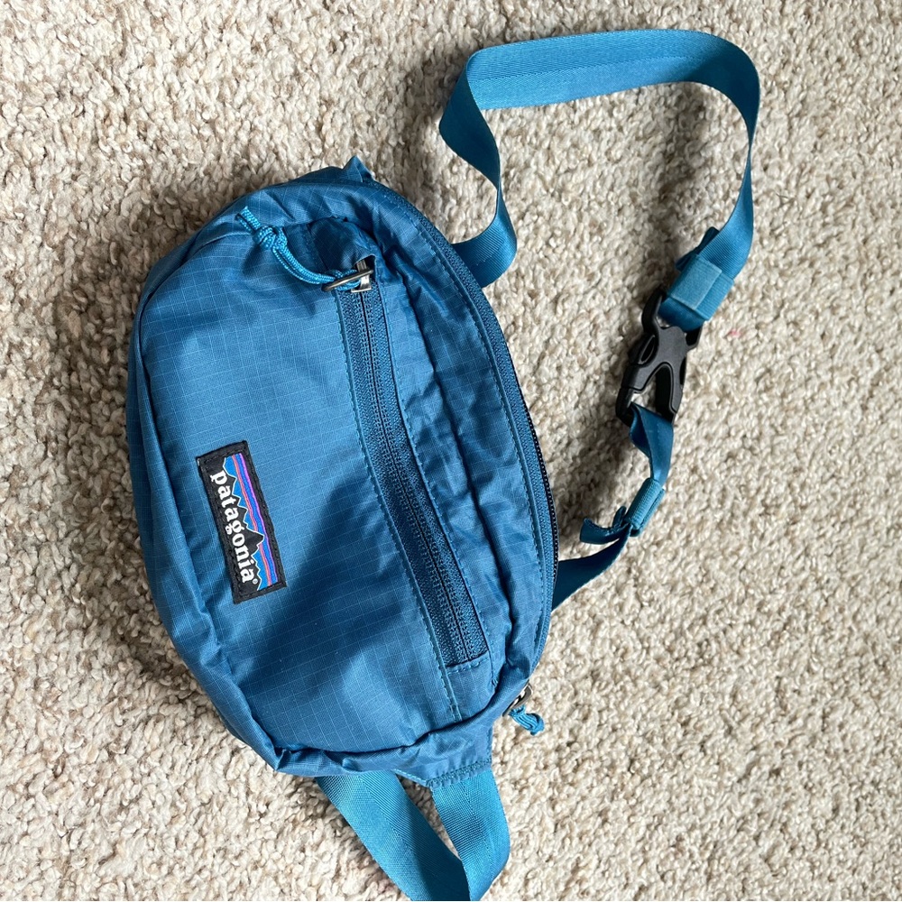 Patagonia belt bag